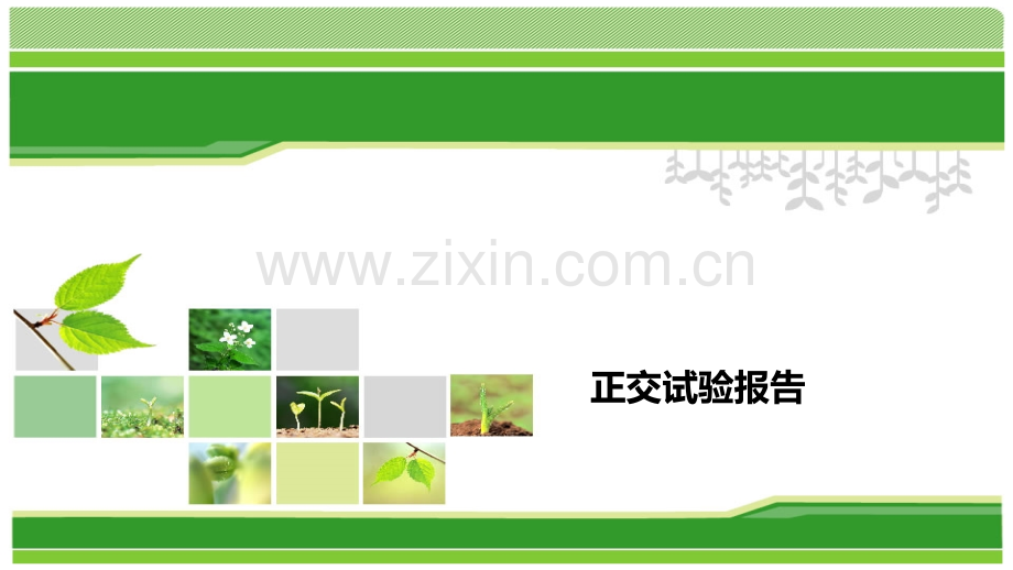正交试验报告.pptx_第1页