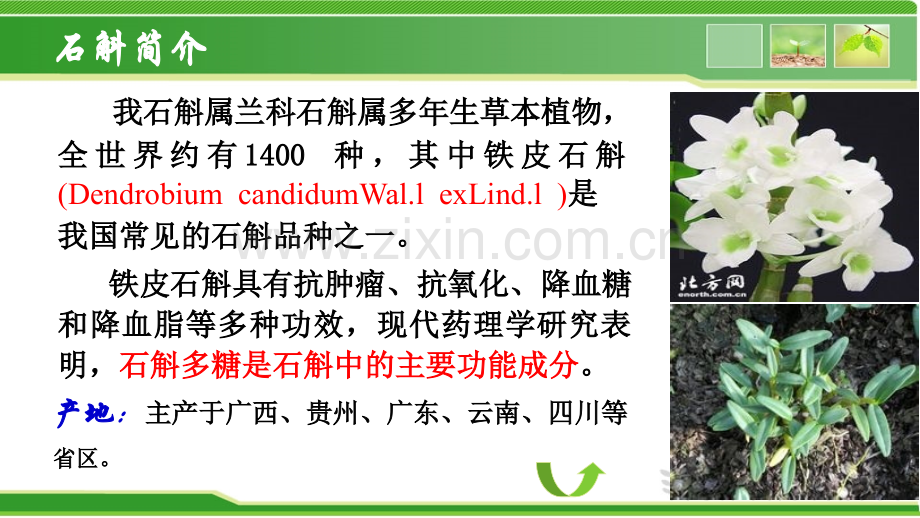 正交试验报告.pptx_第2页