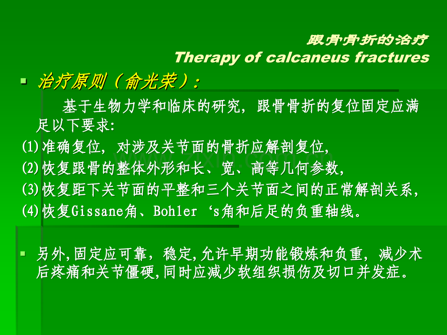 跟骨骨折的治疗.ppt_第2页