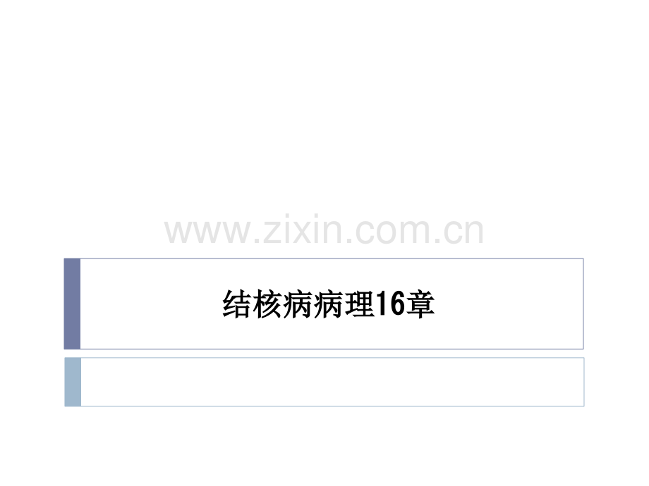 结核病病理16章.ppt_第1页