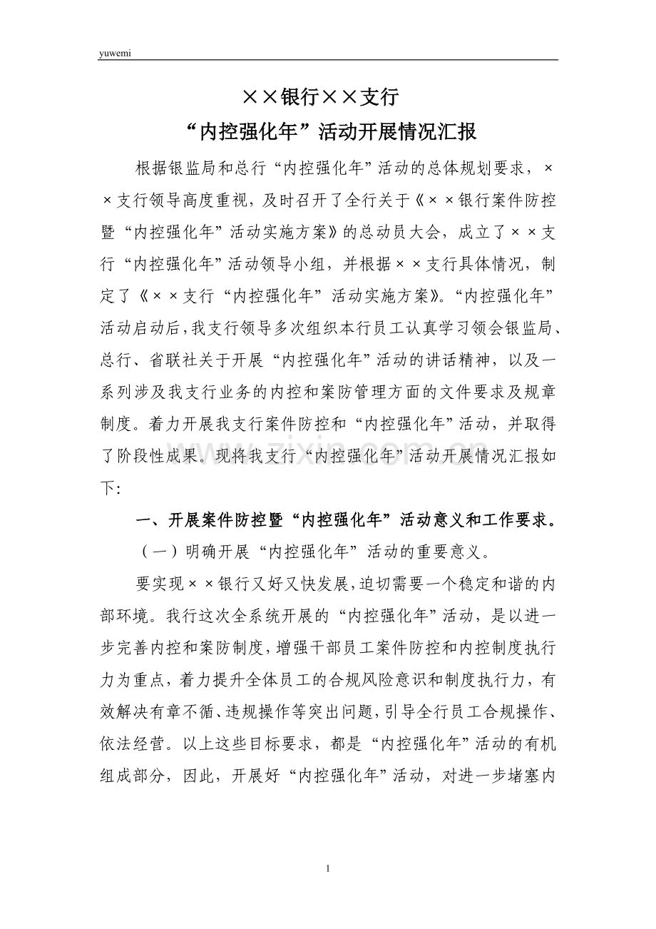 “内控强化年”活动开展情况汇报.doc_第1页