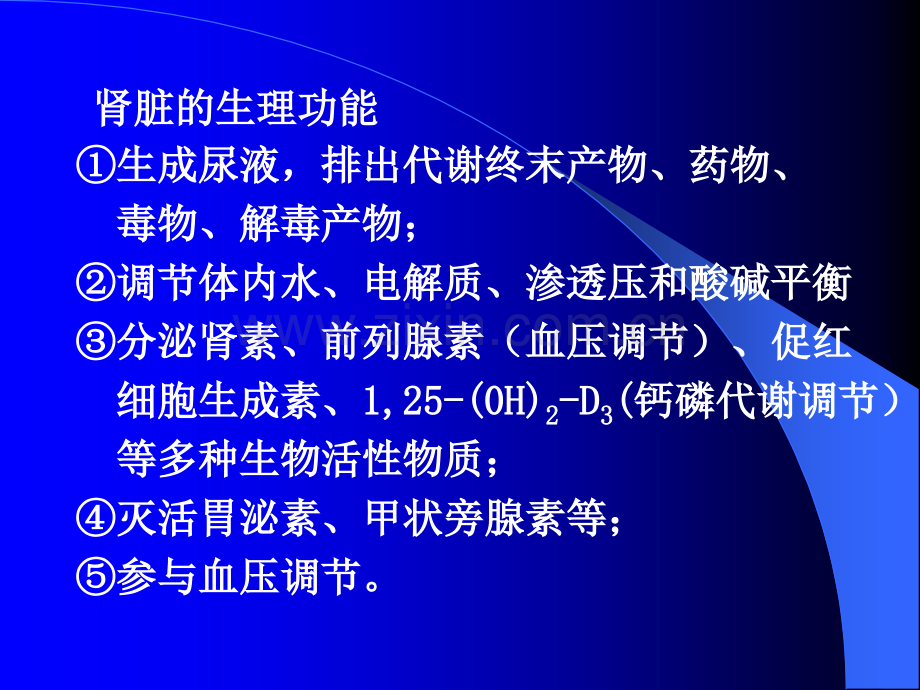 章肾功能不全的病理生理机制及临床意义-PPT课件.ppt_第2页