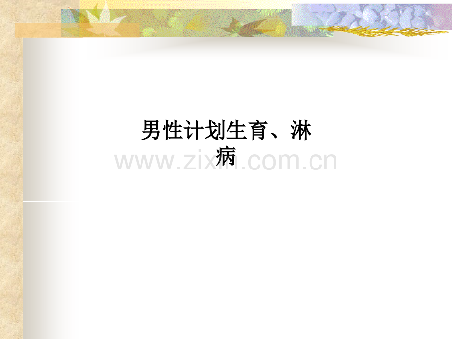 男性计划生育、淋病.ppt_第1页
