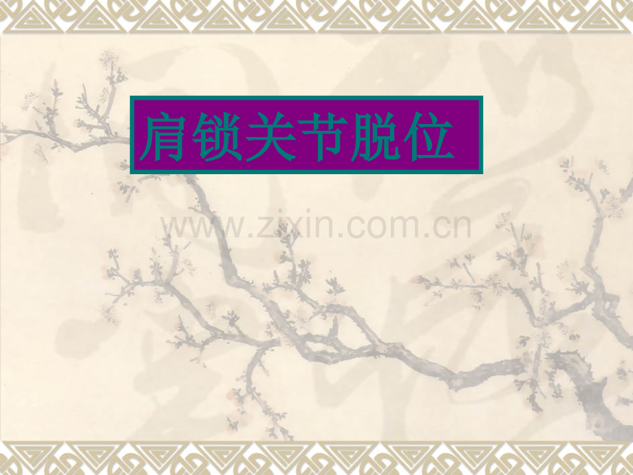 肩锁关节脱位PPT课件.ppt_第1页