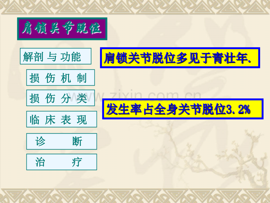 肩锁关节脱位PPT课件.ppt_第2页