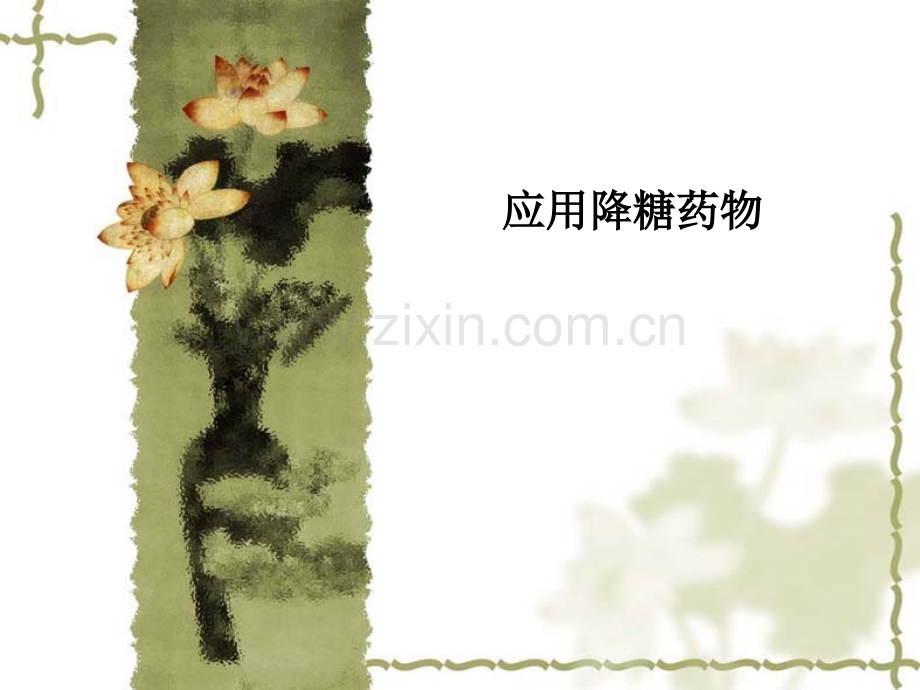 应用降糖药物.ppt_第1页