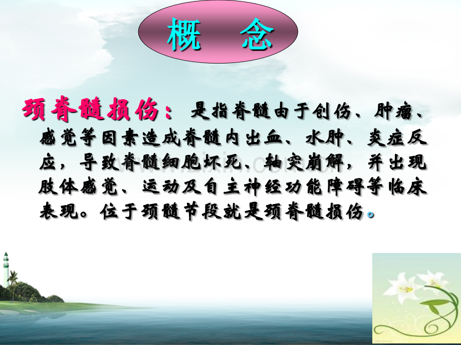 颈脊髓损伤截瘫平面的评估.ppt_第2页