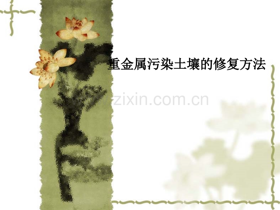 重金属污染土壤的修复方法PPT课件.ppt_第1页