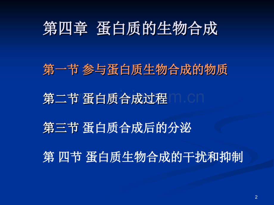 蛋白质的生物合成详解.ppt_第2页