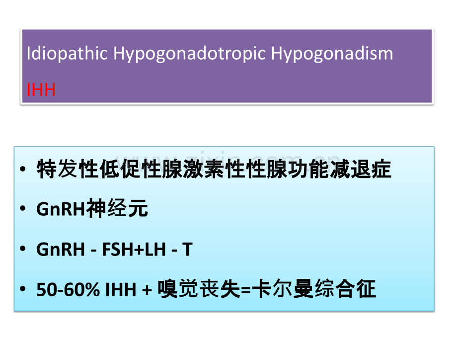 不同基因突变对男性hh患者.pptx_第2页