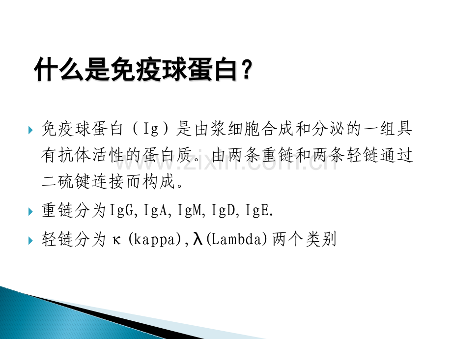 免疫球蛋白的检测与临床应用.pptx_第2页