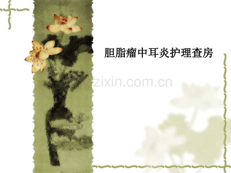 胆脂瘤中耳炎护理查房.ppt_第1页