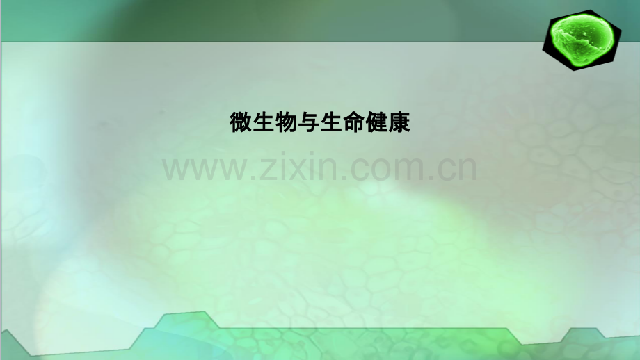 微生物与生命健康.pptx_第1页