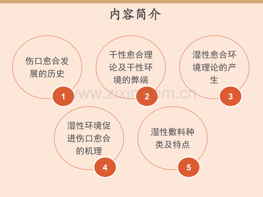 湿性伤口愈合理论.pptx_第2页