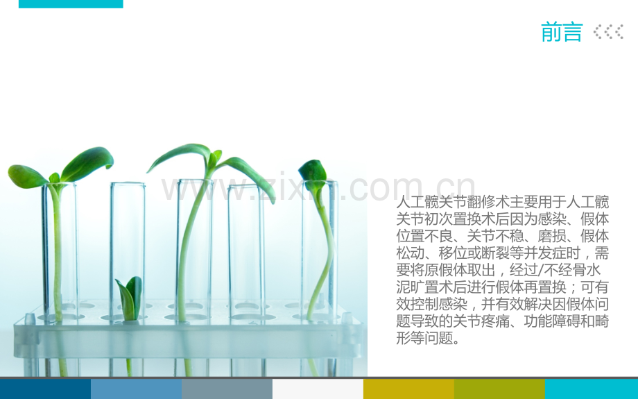 全髋关节修复手术介绍130909.ppt_第2页