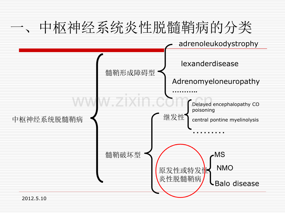 视神经脊髓炎谱系疾病.pptx_第2页