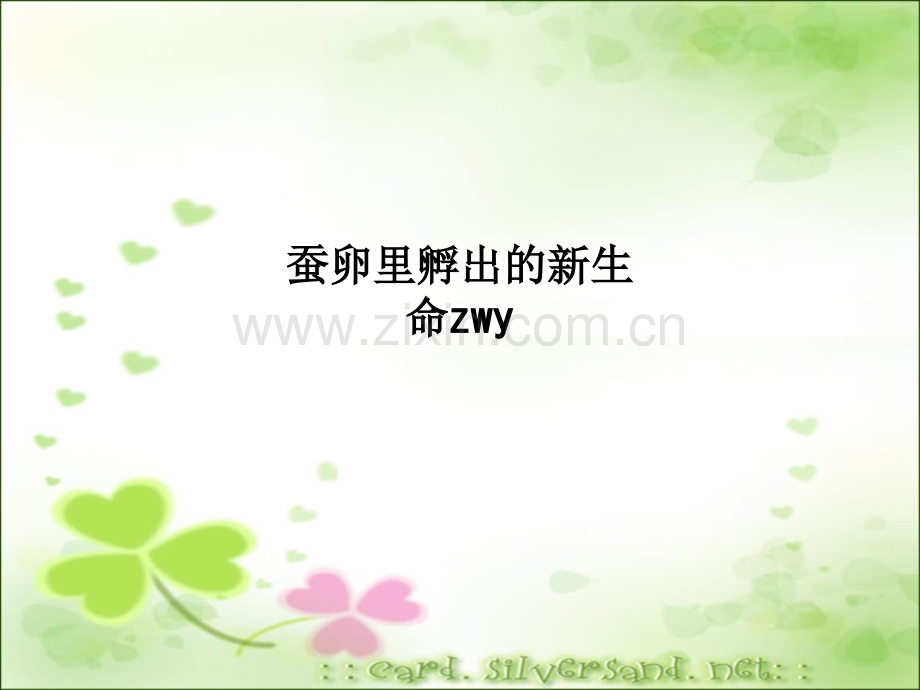 蚕卵里孵出的新生命zwy.ppt_第1页