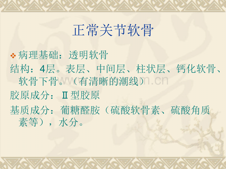 软骨损伤讲课.ppt_第2页