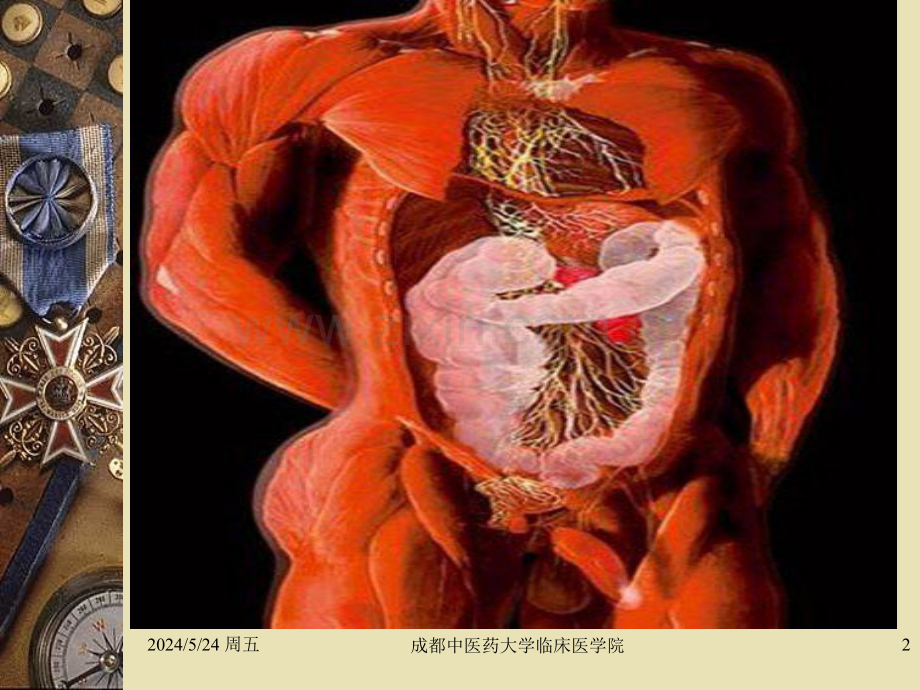 复杂性功能性胃肠病20119.ppt_第2页