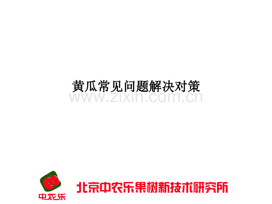 黄瓜常见问题解决对策.ppt_第1页
