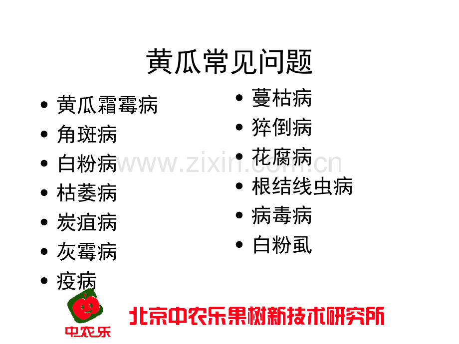 黄瓜常见问题解决对策.ppt_第2页