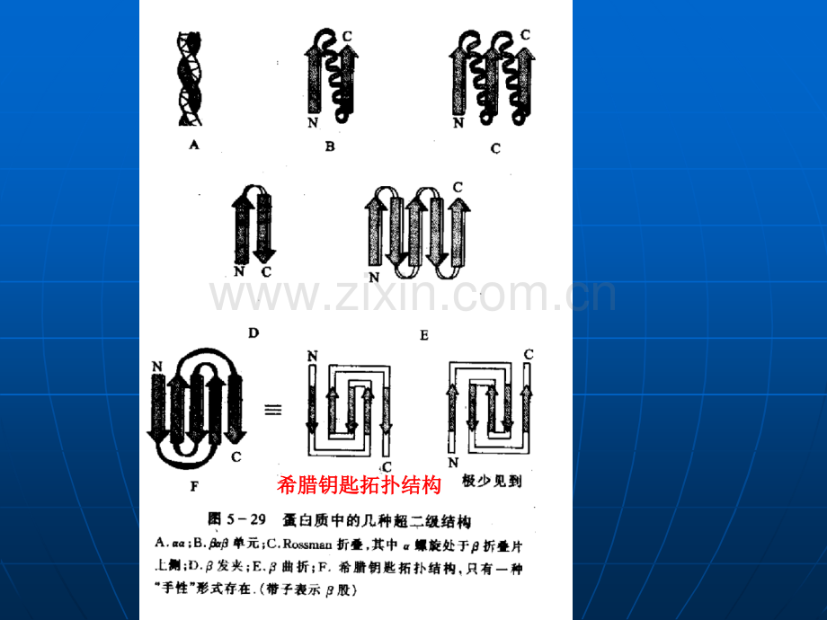 超二级结构域四级3.ppt_第2页