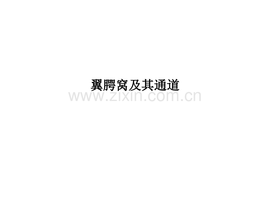 翼腭窝及其通道.ppt_第1页
