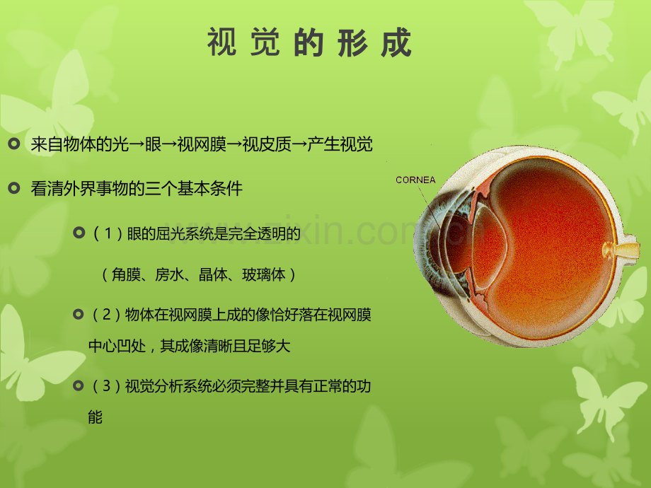 视光学基本知识.ppt_第2页