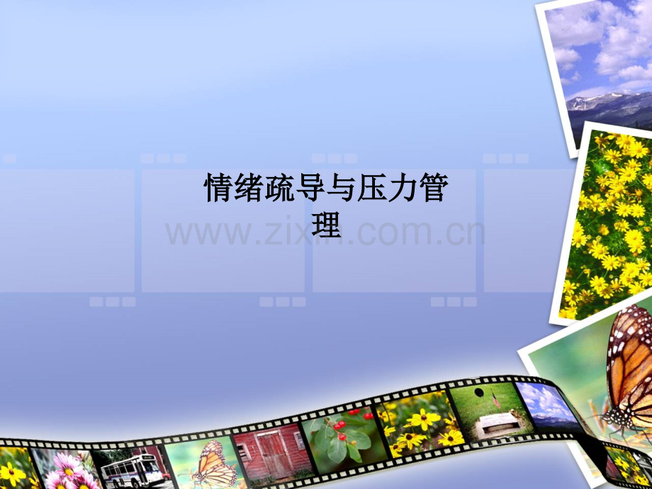 情绪疏导与压力管理.ppt_第1页