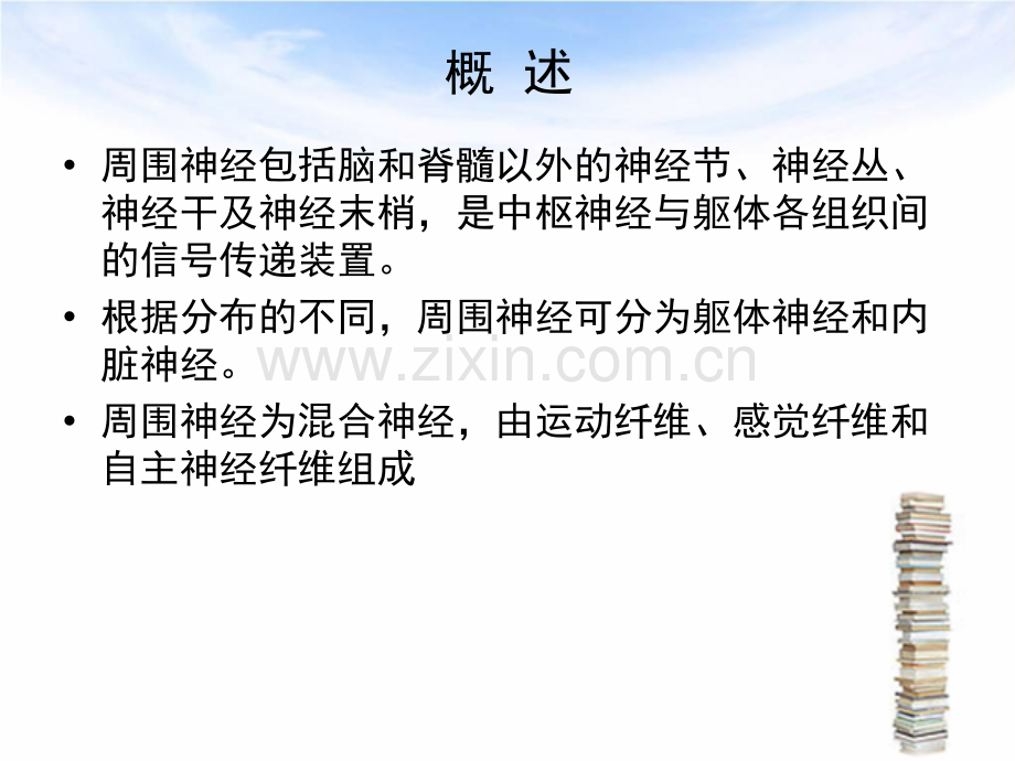 周围神经损伤康复治疗PPT课件.ppt_第2页