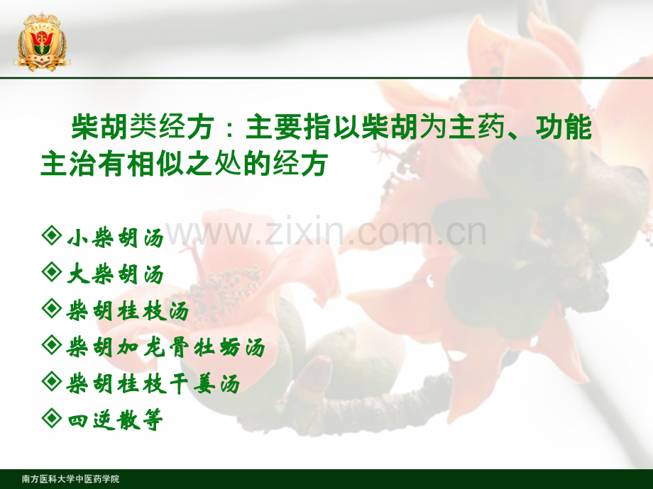 经方临床应用柴胡类经方谢炜.ppt_第2页
