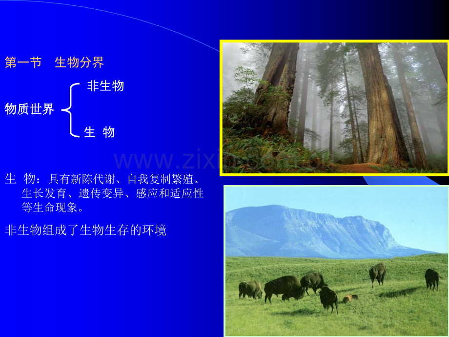 动物学-绪论.ppt_第2页