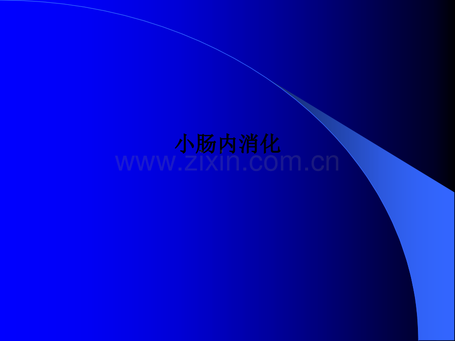 小肠内消化PPT课件.ppt_第1页