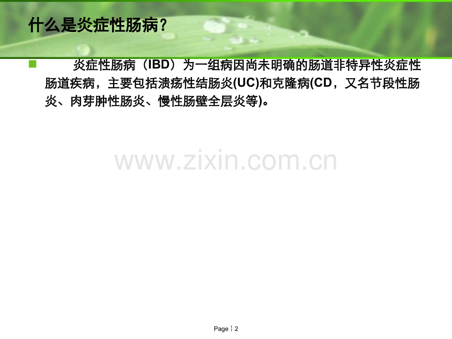 炎症性肠病的治疗.ppt_第2页