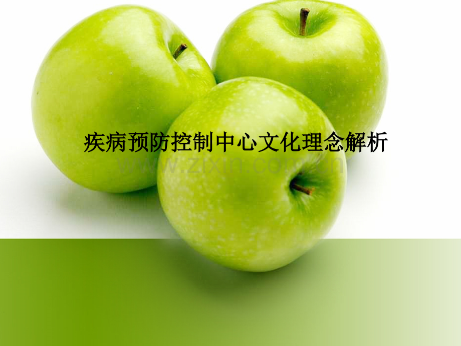 疾病预防控制中心文化理念解析.ppt_第1页