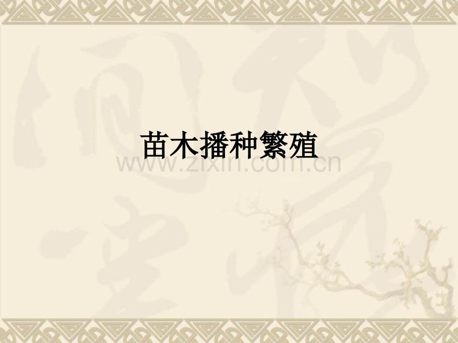 苗木播种繁殖PPT课件.ppt_第1页
