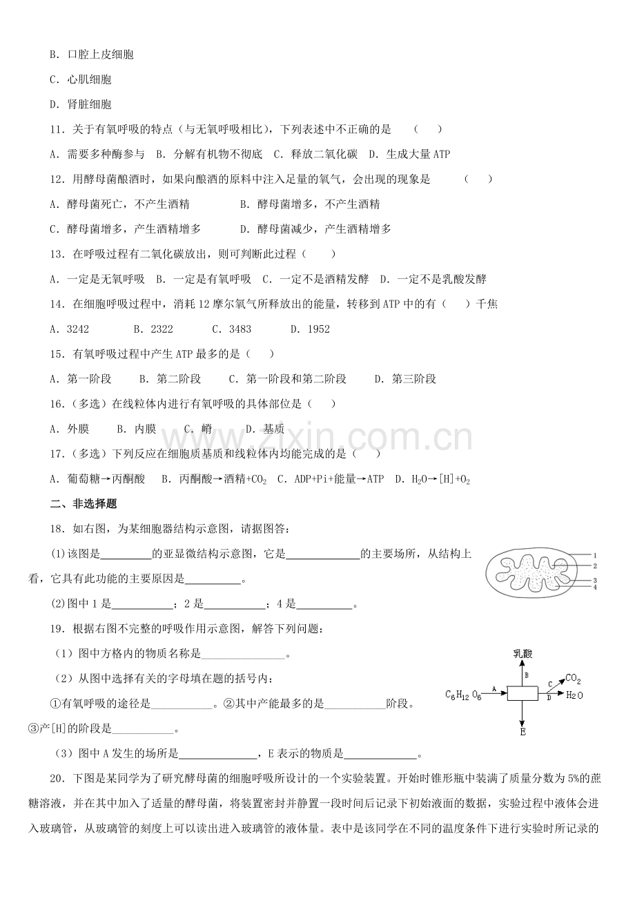 ATP的主要来源—细胞呼吸生物-同步练习题-含参考答案-新人教版.pdf_第2页
