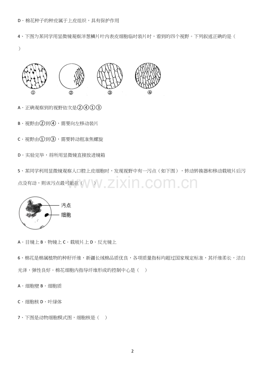 通用版初中生物七年级上册第二单元生物体的结构层次知识集锦.docx_第2页