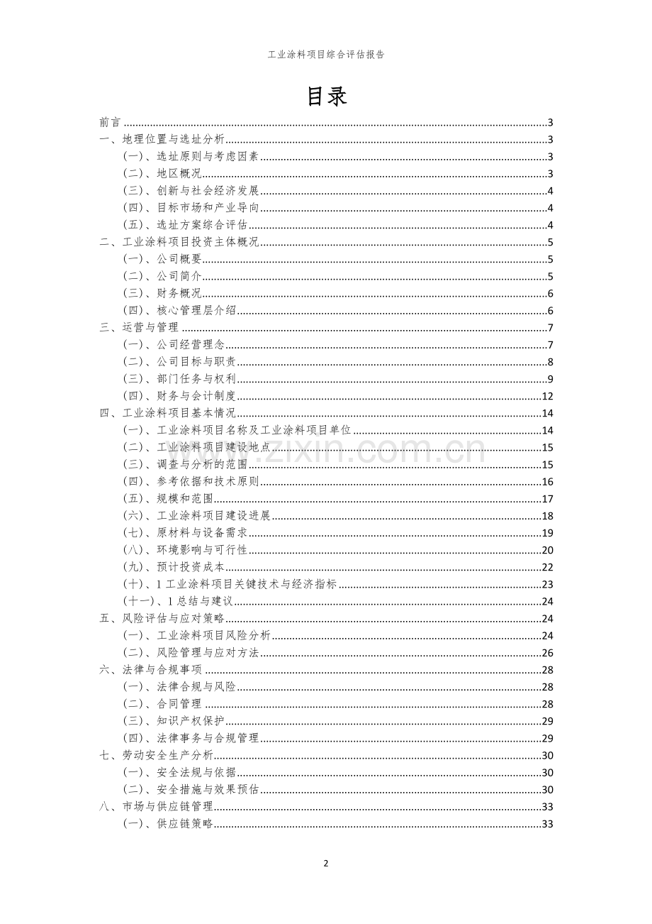 2023年工业涂料项目综合评估报告.docx_第2页