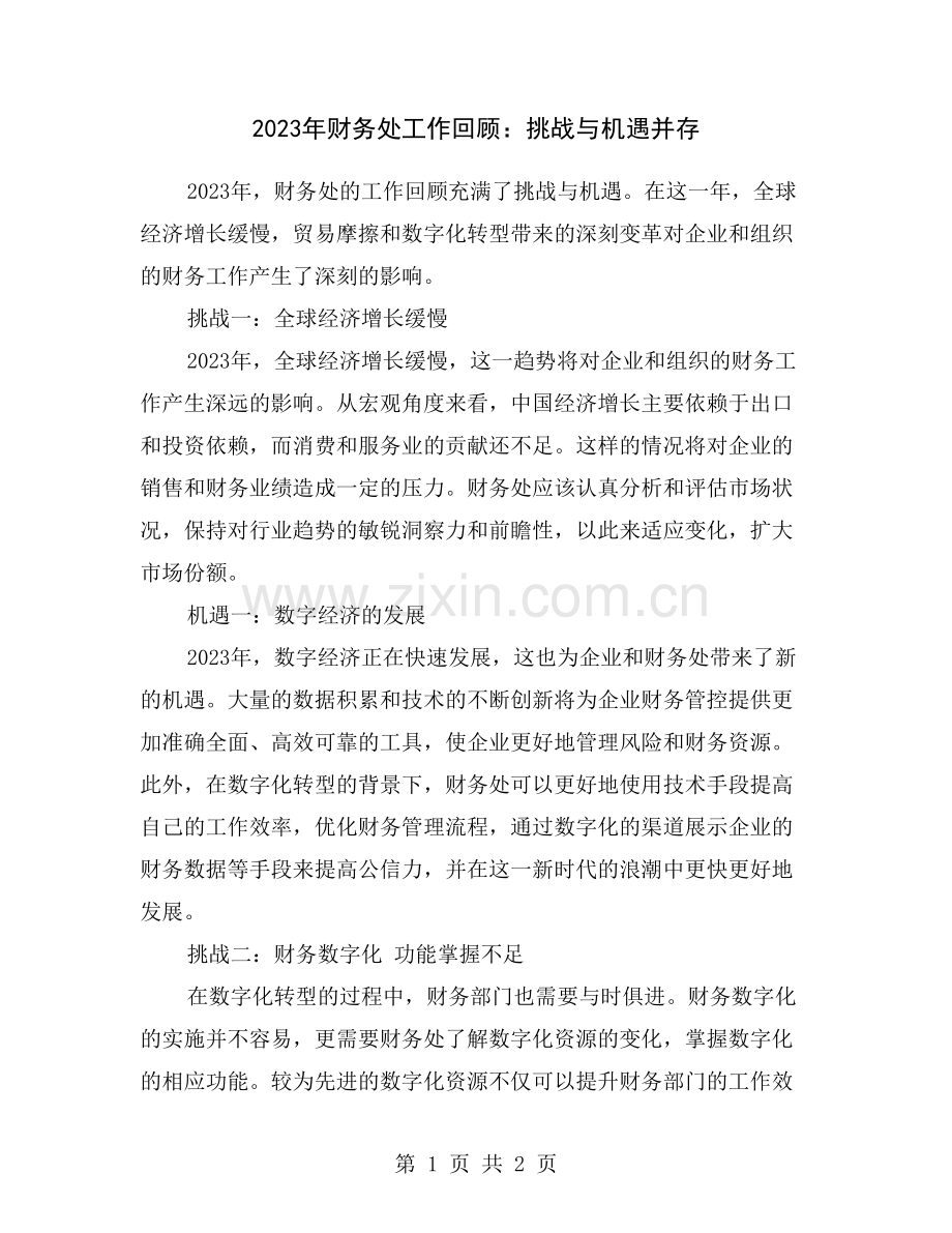 2023年财务处工作回顾：挑战与机遇并存.doc_第1页