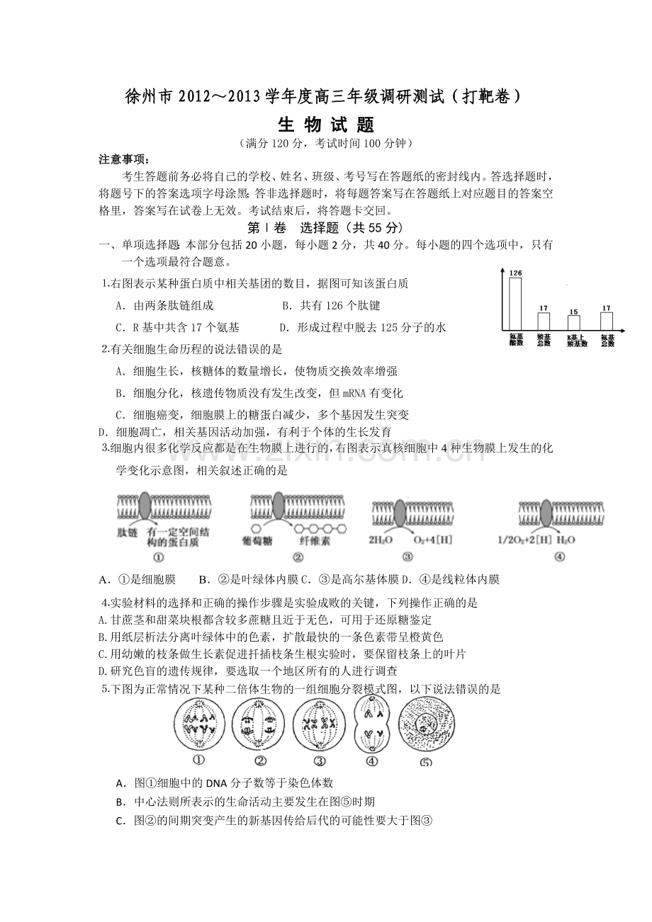 徐州～学高三调研测试(打靶卷)-生物.doc_第1页