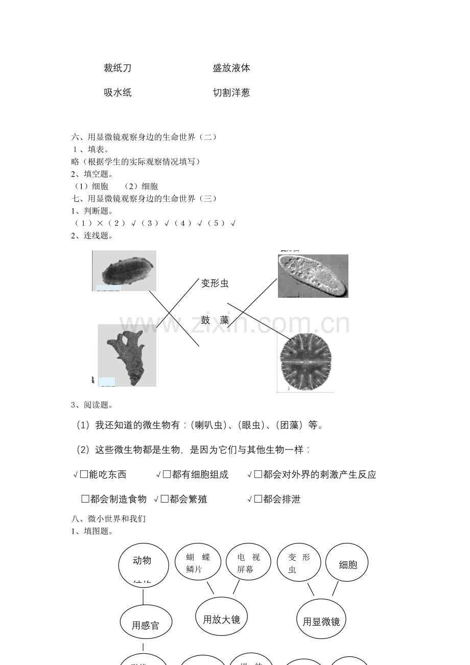 小学教育科学六级作业本参考答案.doc_第2页