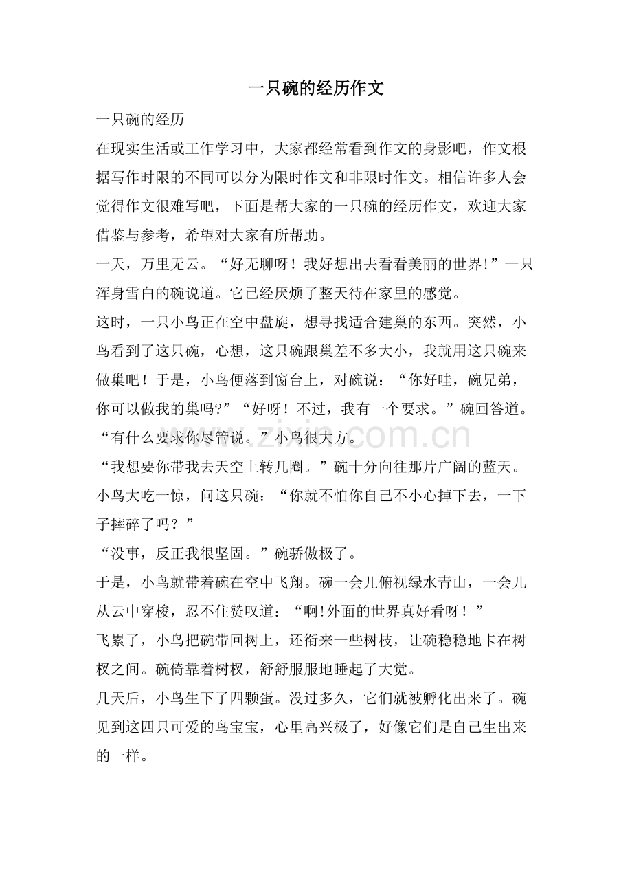 一只碗的经历作文.doc_第1页