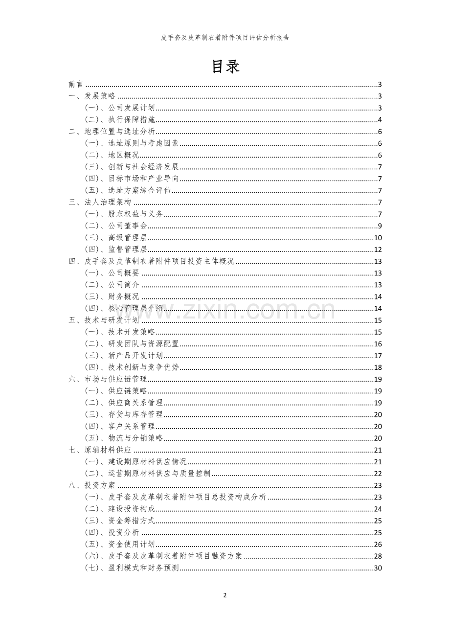 皮手套及皮革制衣着项目评估分析报告.docx_第2页
