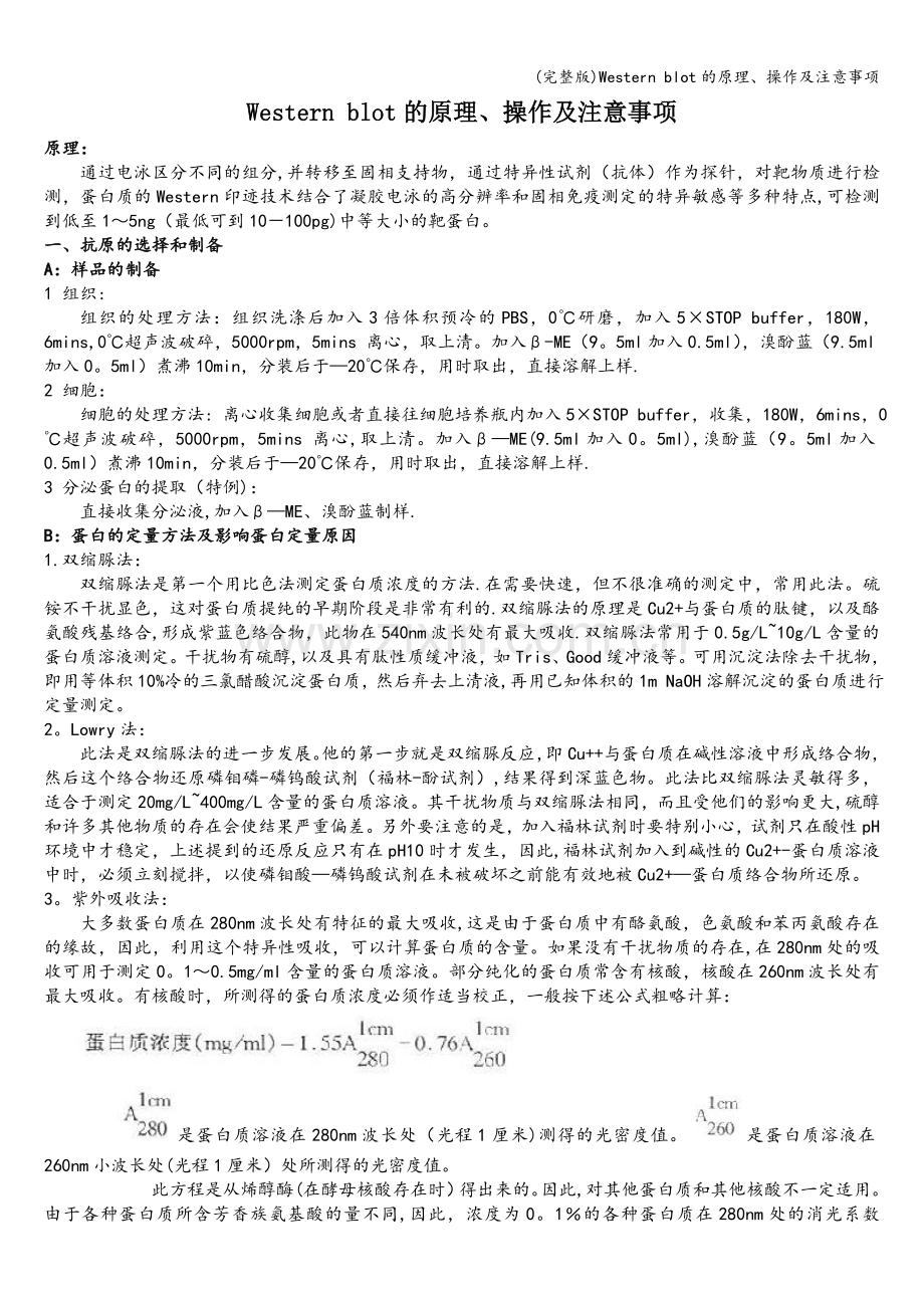 Western-blot的原理、操作及注意事项.doc_第1页