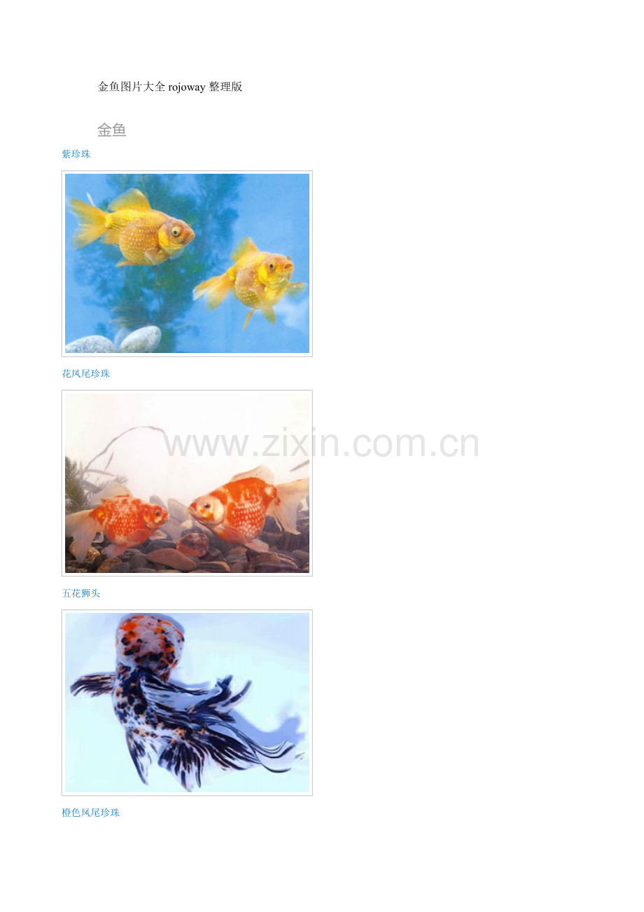 金鱼图片大全rojoway整理.doc_第1页