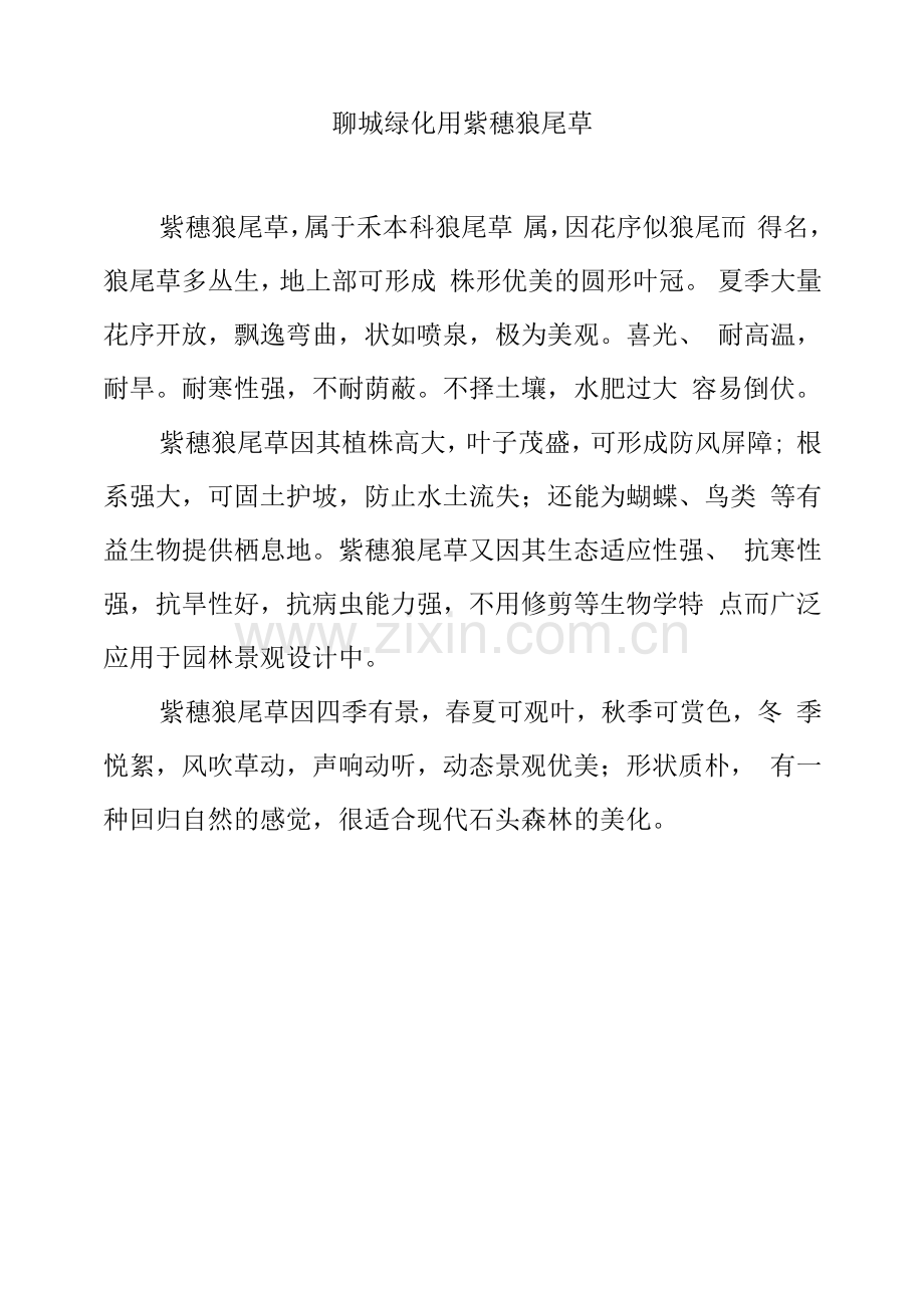聊城绿化用紫穗狼尾草.docx_第1页