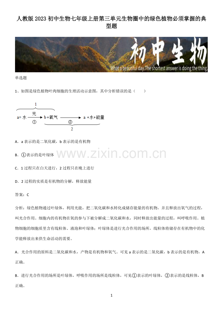人教版2023初中生物七年级上册第三单元生物圈中的绿色植物必须掌握的典型题.pdf_第1页