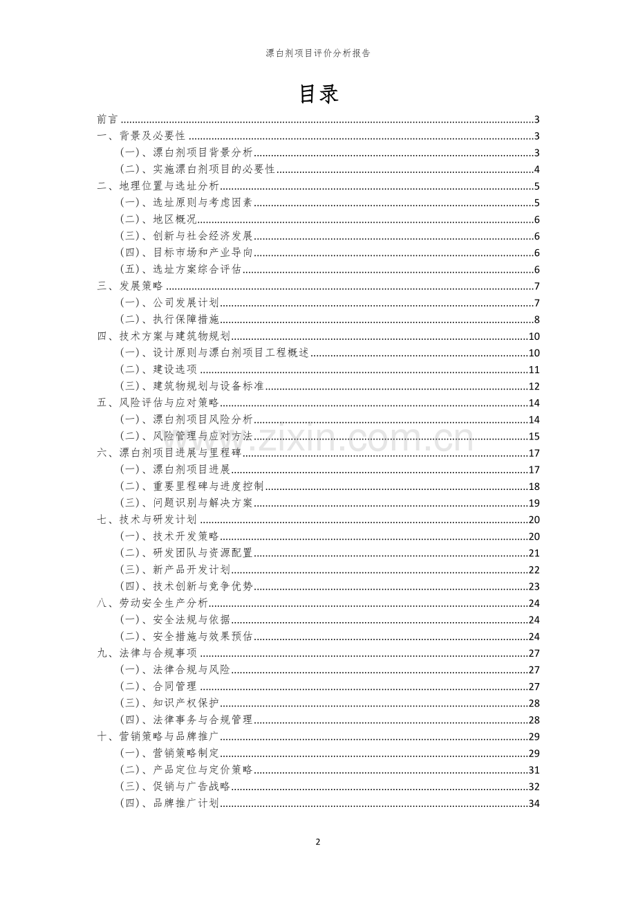 漂白剂项目评价分析报告.docx_第2页