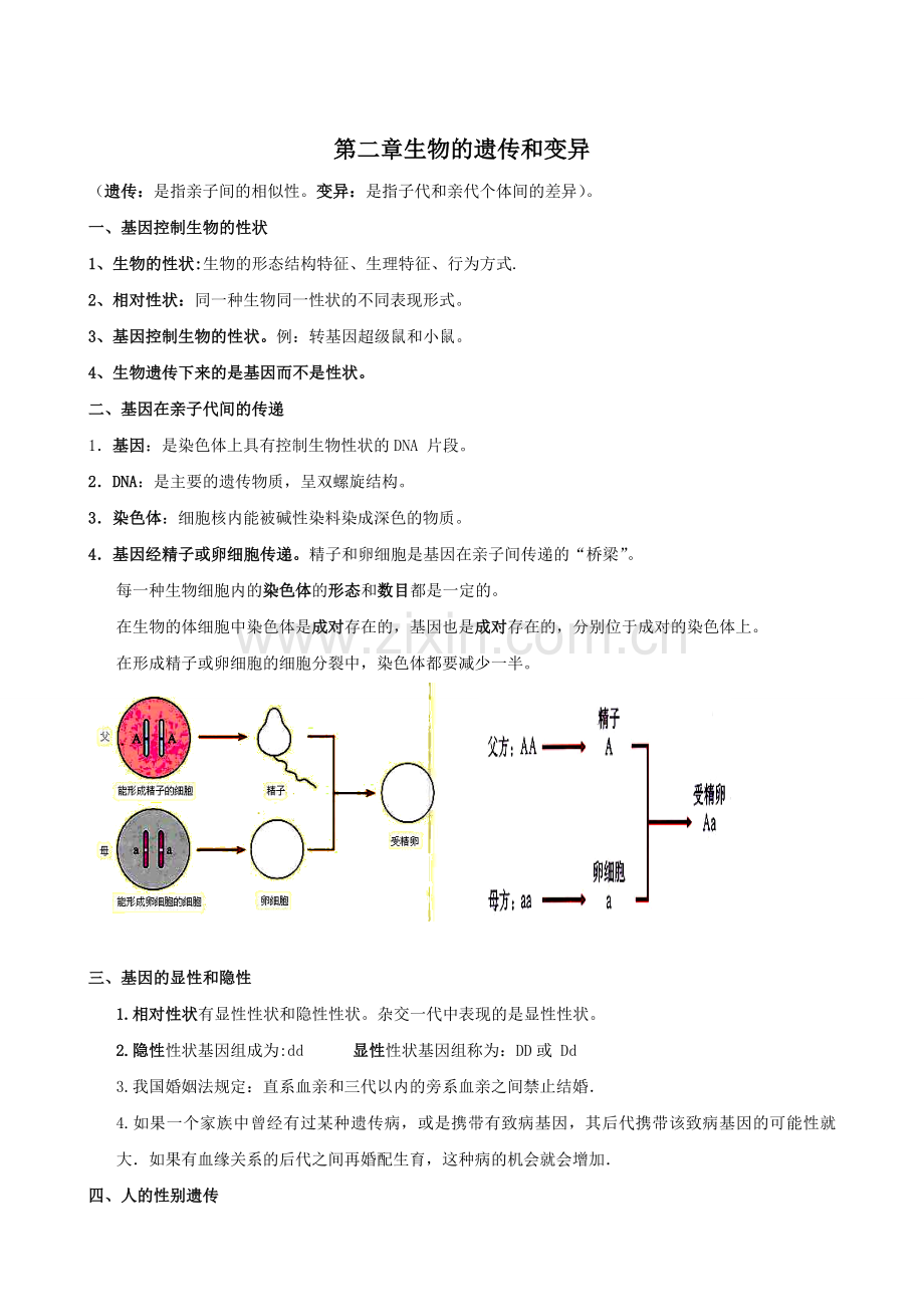 八生物上册第七单元复习提纲.doc_第2页